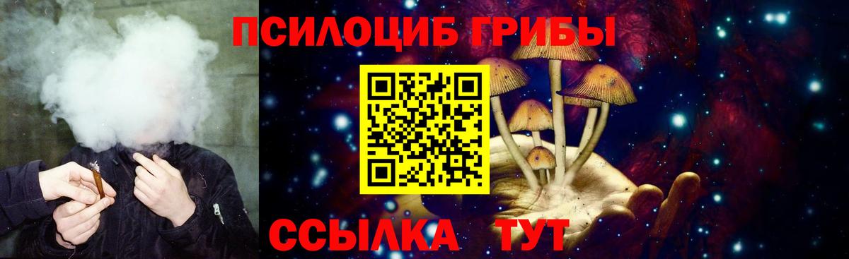 Псилоцибиновые грибы Cubensis Балашиха